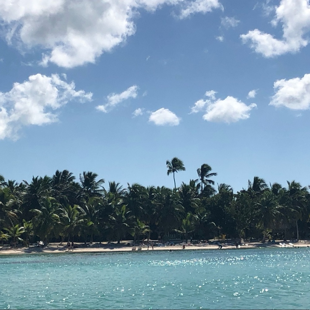 Meet your Posher, Princess